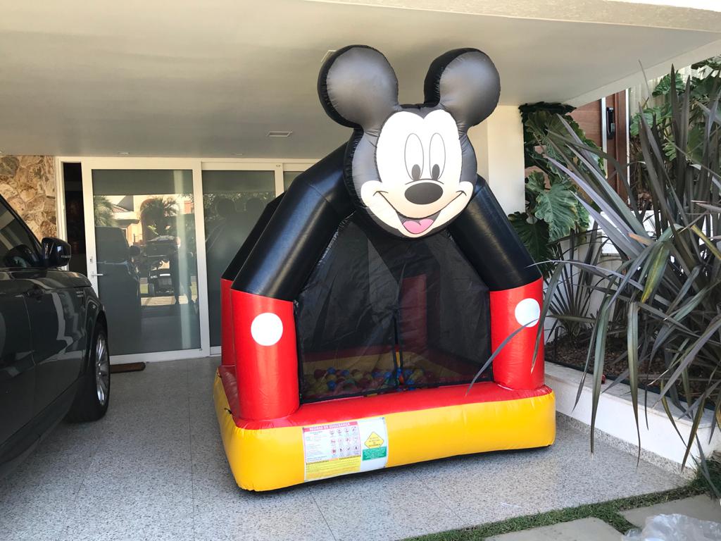 Piscina de Bolinhas Mickey